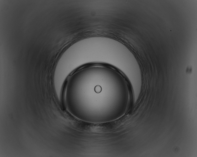 X0000091530268200708311317