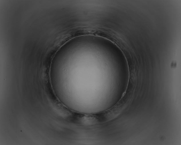 X0000091530270200708311317