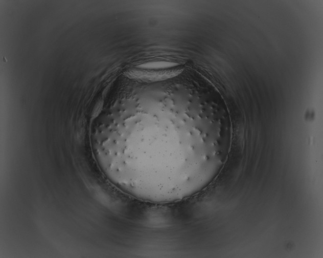 X0000091530271200708311317