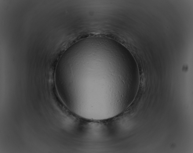 X0000091530272200708311317