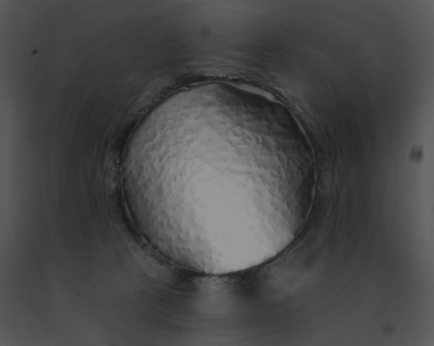 X0000091530273200708311317