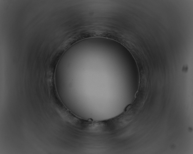 X0000091530274200708311317