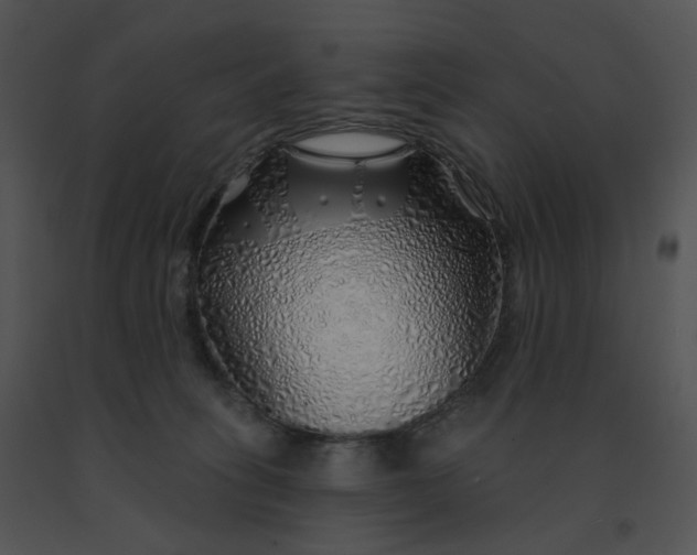 X0000091530275200708311317
