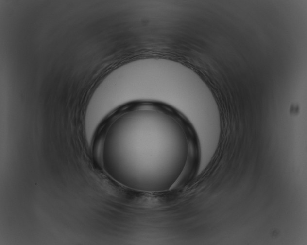 X0000091530276200708311317