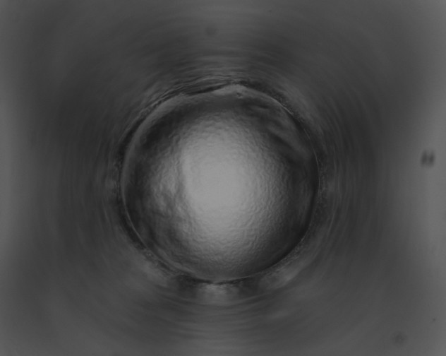 X0000091530277200708311317