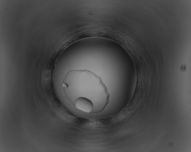 X0000091530278200708311317