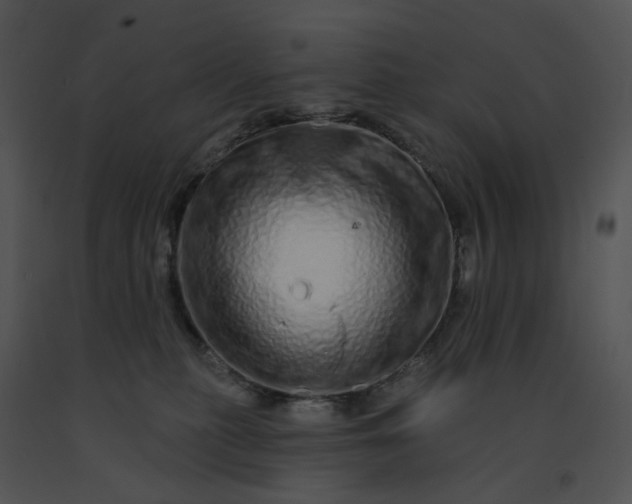 X0000091530279200708311317