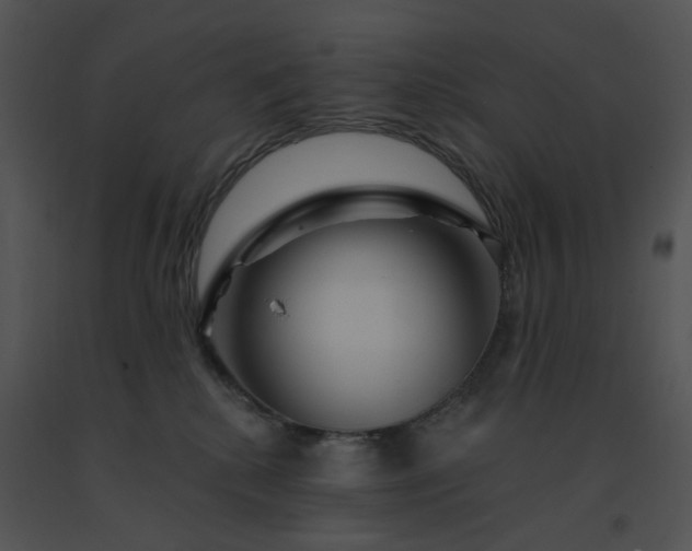 X0000091530280200708311317