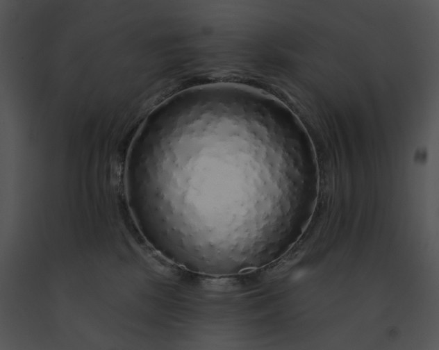 X0000091530281200708311317