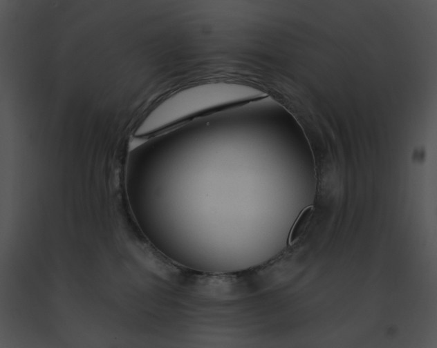 X0000091530282200708311317