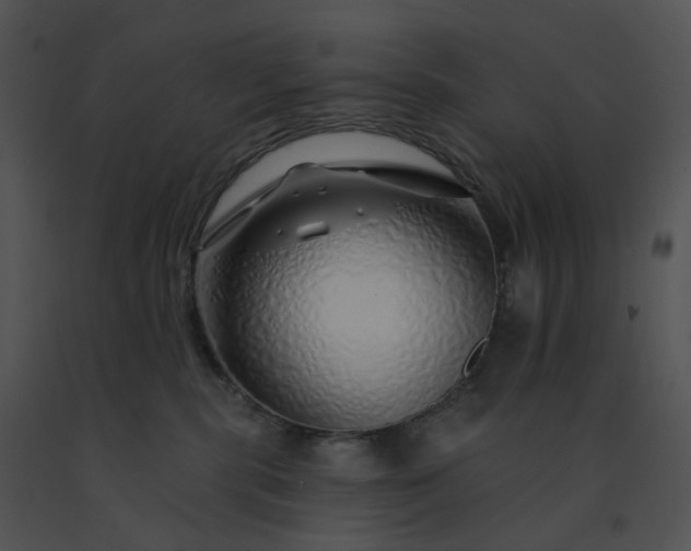 X0000091530283200708311317