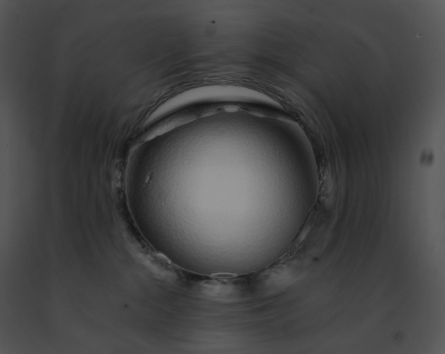 X0000091530284200708311317