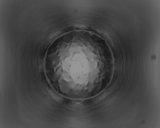 X0000091530285200708311317
