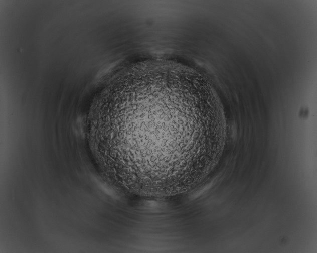 X0000091530286200708311317