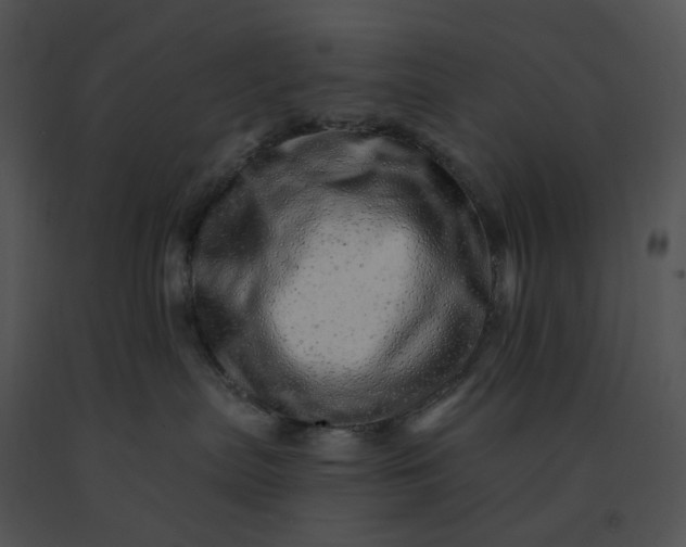 X0000091530287200708311317