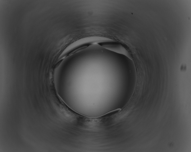 X0000091530288200708311317