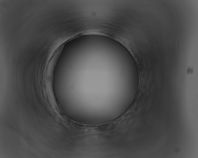X0000091530289200708311316