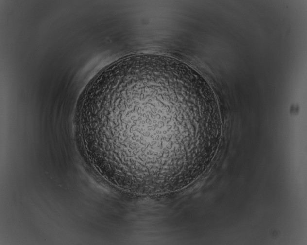 X0000091530290200708311316