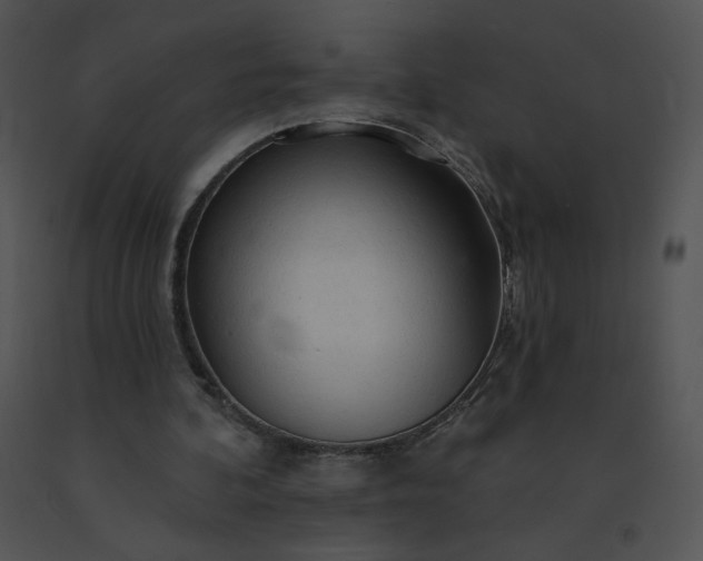 X0000091530292200708311316