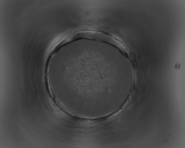 X0000091530293200708311316