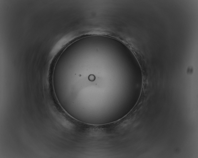 X0000091530296200708311316
