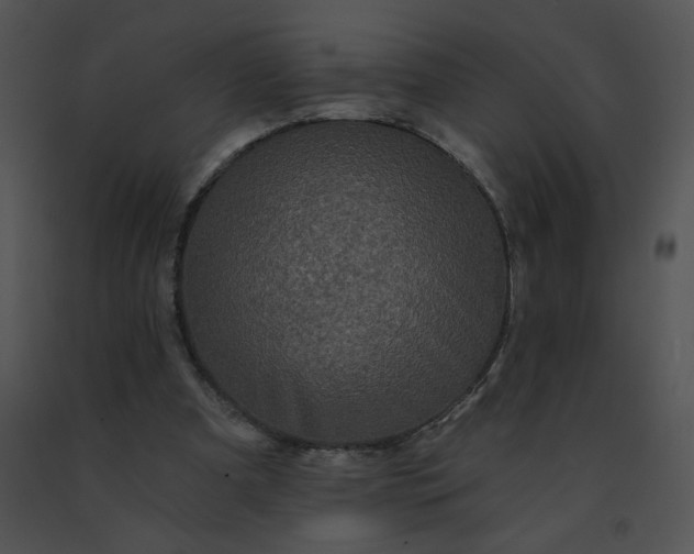 X0000091530297200708311316