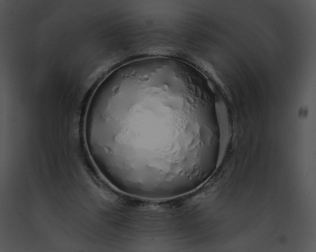 X0000091530299200708311316