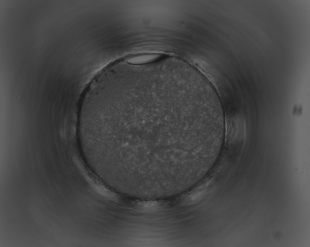 X0000091530301200708311316