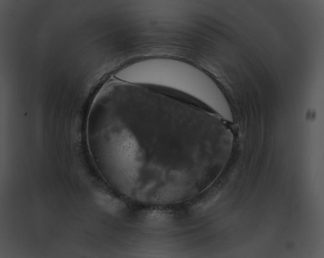 X0000091530303200708311316