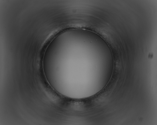 X0000091530304200708311316
