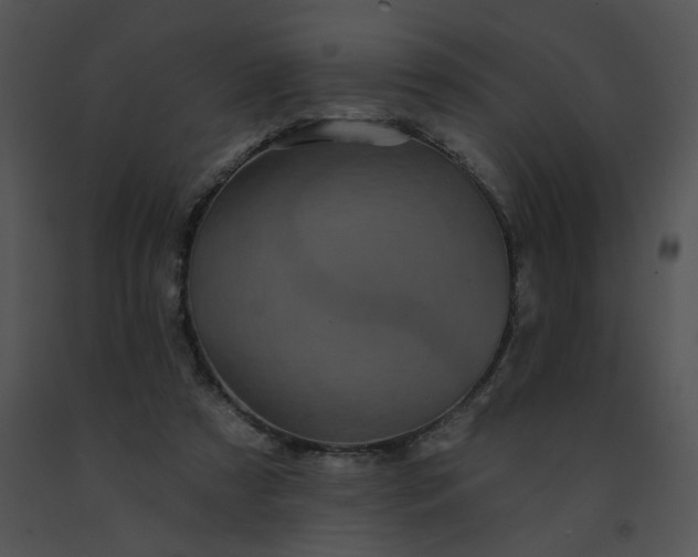 X0000091530305200708311316