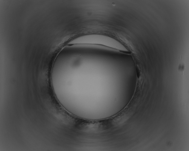 X0000091530306200708311316