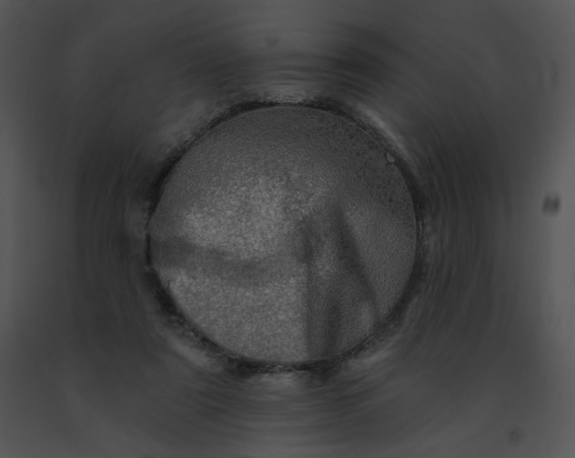 X0000091530307200708311316