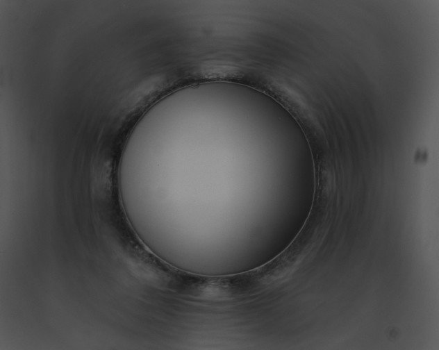 X0000091530308200708311316