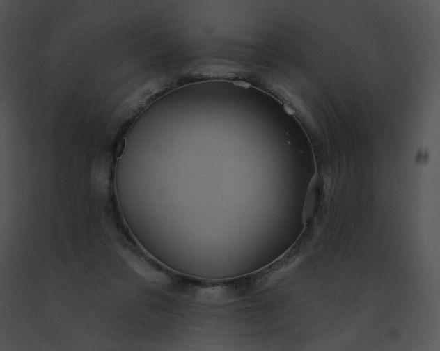 X0000091530309200708311316