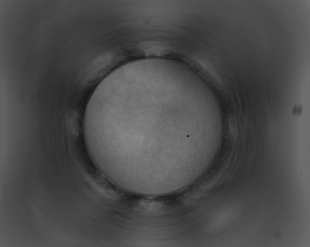 X0000091530311200708311316