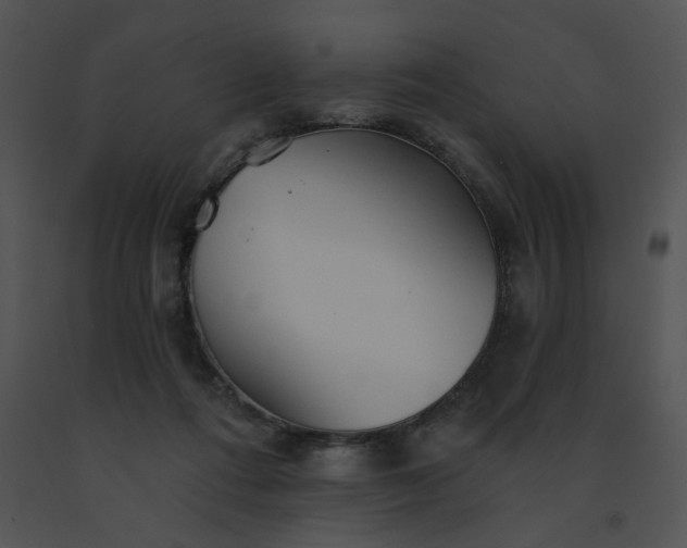 X0000091530312200708311316