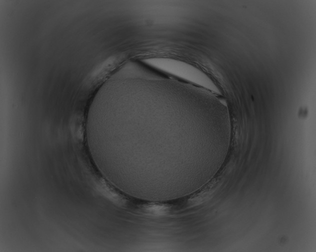 X0000091530313200708311316