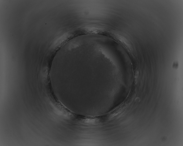X0000091530314200708311316