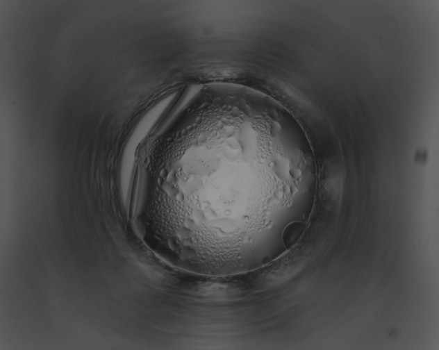 X0000091530315200708311316