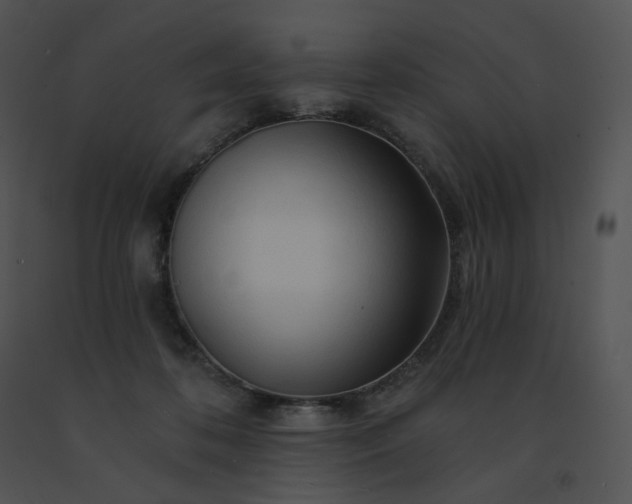 X0000091530316200708311316