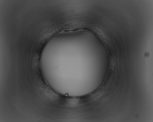 X0000091530318200708311316