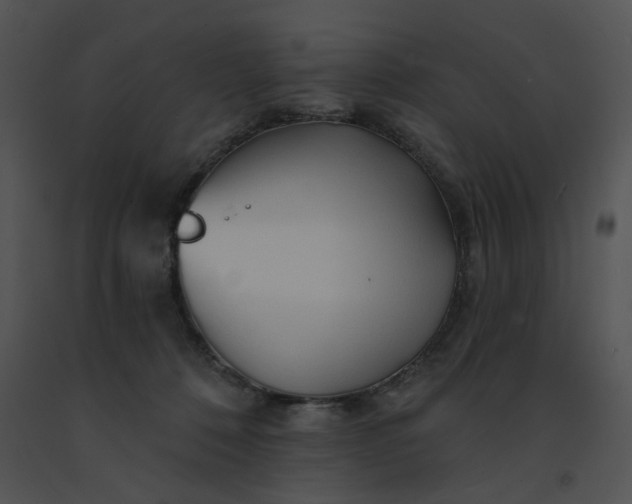 X0000091530320200708311316
