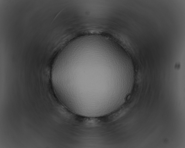 X0000091530321200708311316