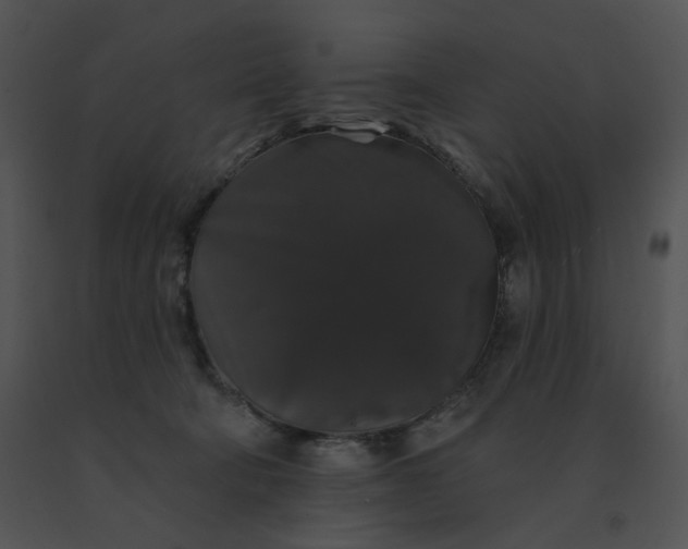 X0000091530322200708311316