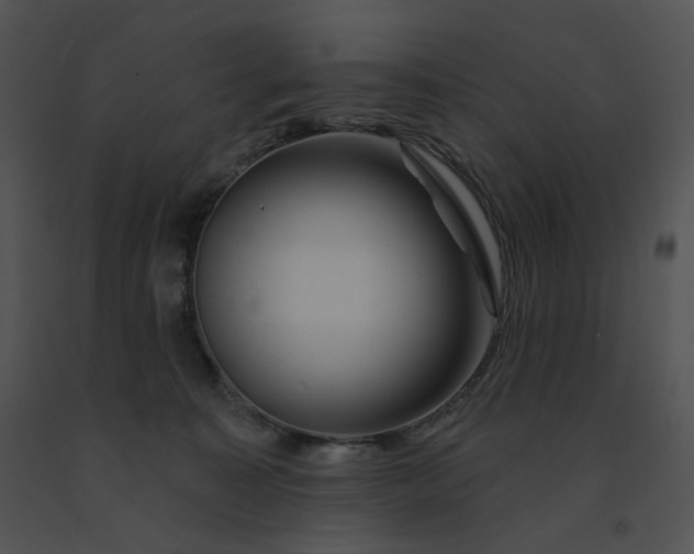 X0000091530323200708311316