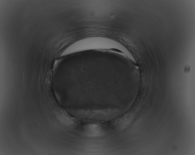 X0000091530325200708311316