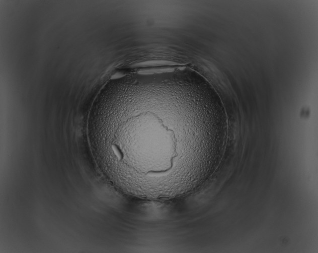 X0000091530326200708311316