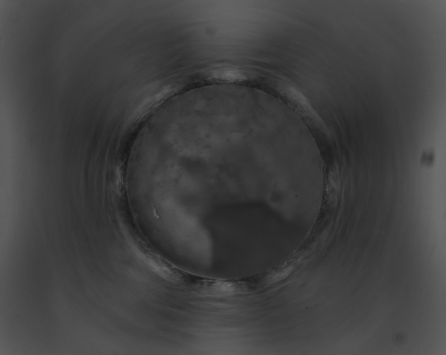 X0000091530330200708311316