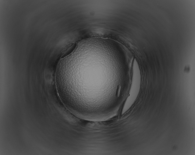 X0000091530331200708311316